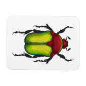 ハムシ マグネット (横)