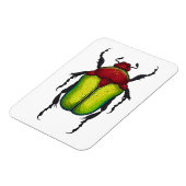 ハムシ マグネット (左側)