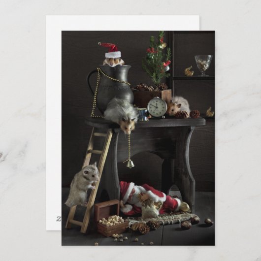 ハムスタおもしろいーを使った新年の静物詩 シーズンカード (正面/裏面)