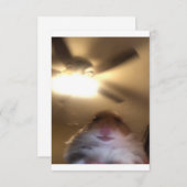 ハムスターじろじろミーム セーブザデート (正面/裏面)