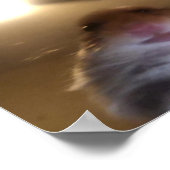 ハムスターじろじろミーム ポスター (角)