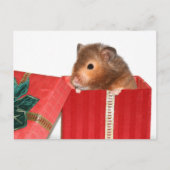 ハムスターのクリスマスプレゼント シーズンポストカード (正面)