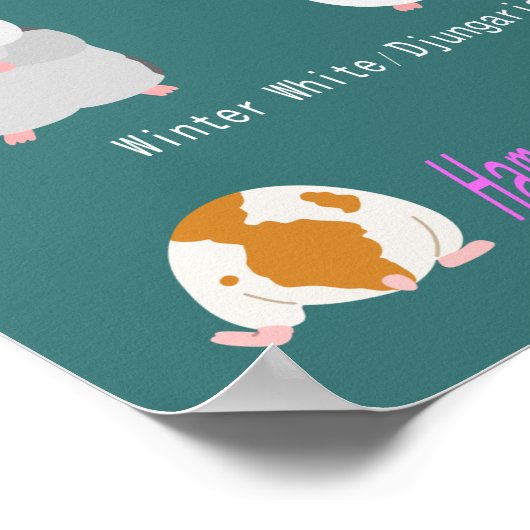 ハムスターの種類一覧 ポスター (角)