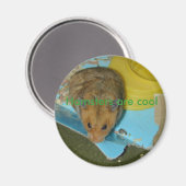 ハムスターは磁石クールである マグネット (正面/裏面)