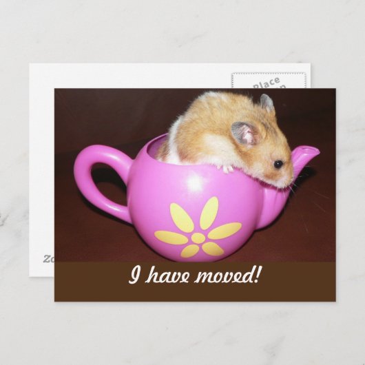 ハムスターを引越した 案内ポストカード (正面/裏面)