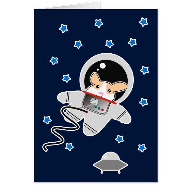 ハムスター宇宙飛行士 (正面)