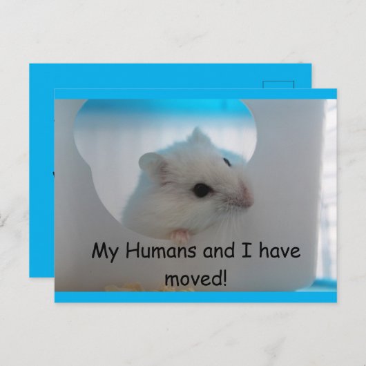 ハムスター私たちは葉書を移動 ポストカード (正面/裏面)