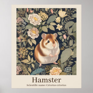 ハムスター科学名動物 ポスター