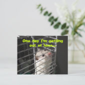 ハムスター脱出はがき ポストカード (スタンド正面)