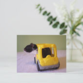 ハムスター葉書 ポストカード (スタンド正面)