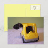 ハムスター葉書 ポストカード (正面/裏面)