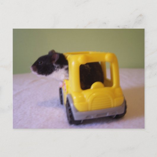 ハムスター葉書 ポストカード (正面)