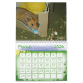 ハムスター2010年の年 カレンダー (3月 2026)