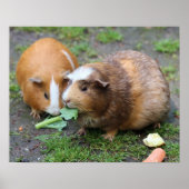 ハムスター ポスター (正面)