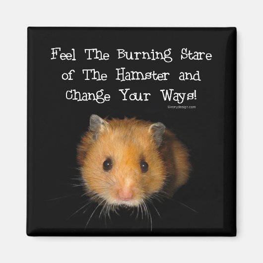 ハムスター マグネット (正面)