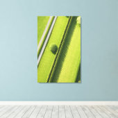 ハムトンのヘッジ キャンバスプリント (インサイチュ (ウッドフロア))