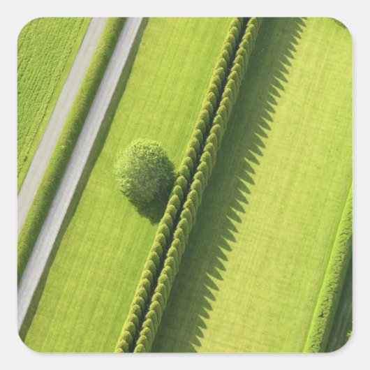 ハムトンのヘッジ スクエアシール (正面)