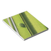 ハムトンのヘッジ ノートパッド (アングル)