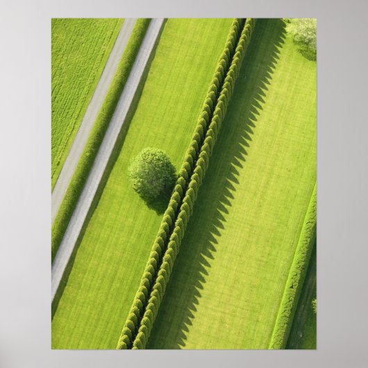 ハムトンのヘッジ ポスター (正面)