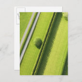 ハムトンのヘッジ ポストカード (正面/裏面)