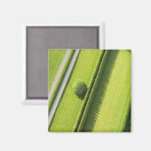 ハムトンのヘッジ マグネット (正面/裏面)