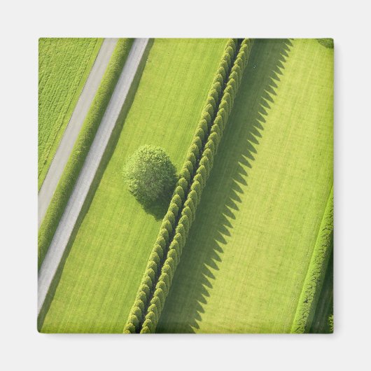 ハムトンのヘッジ マグネット (正面)