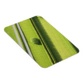 ハムトンのヘッジ マグネット (右側)