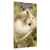 ハムビル – カワイトハムスター クリップボード (右)