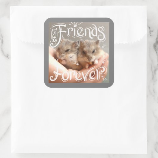 ハムビル – ハムスター最高のフレンズフォーエバー スクエアシール (バッグ)