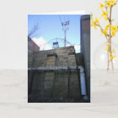 「ハムムズブルワリーの古い壁」井戸のカードを手に入れる カード (黄色い花)