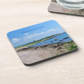 ハムモナスコースター コースター (左側)