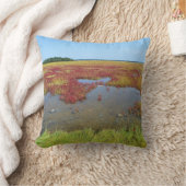 ハムモナスマーシュピロー クッション (ブランケット)