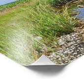 ハムモナスマーシュフォトプリント フォトプリント            (角)