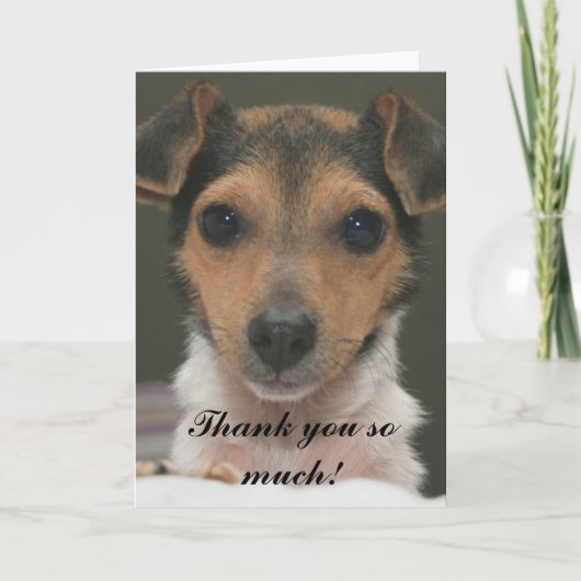 ハムリン – ありがとうございました！ サンキューカード (正面)