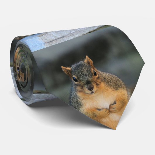 ハム ネクタイ (ロール)