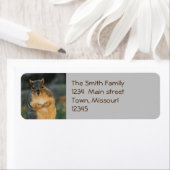 ハム ラベル (インサイチュ)