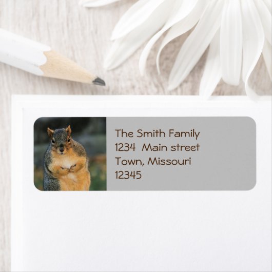 ハム ラベル (インサイチュ)