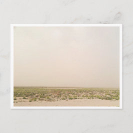 ハメット・ジェリド – メトラウィ（チュニジア） ポストカード