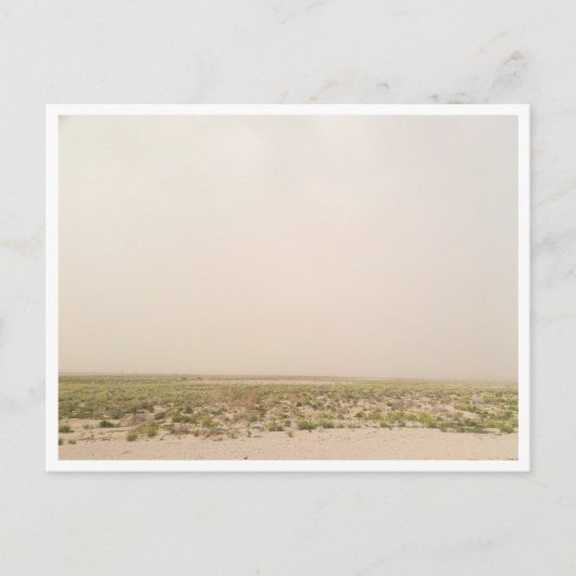 ハメット・ジェリド – メトラウィ（チュニジア） ポストカード (正面)