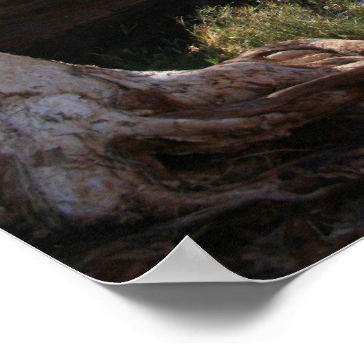 ハメースリー渓谷狩仁国立公園 – ポスター (角)