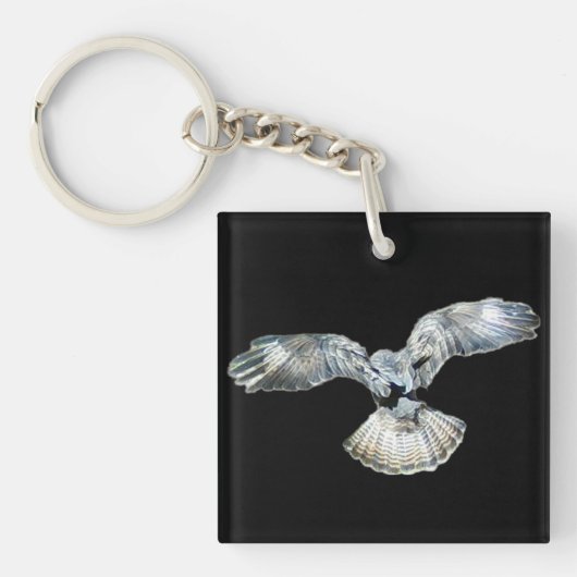 ハヤブサが翼と尾を広げて着陸するアクリル画 キーホルダー (正面)