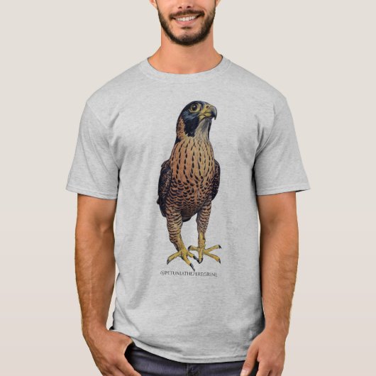 ハヤブサのペチュニアTシャツ Tシャツ (正面)