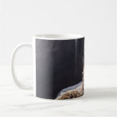 ハヤブサのマグ コーヒーマグカップ (左)