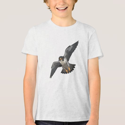 ハヤブサの少年Tシャツ トライブレンドTシャツ (正面)