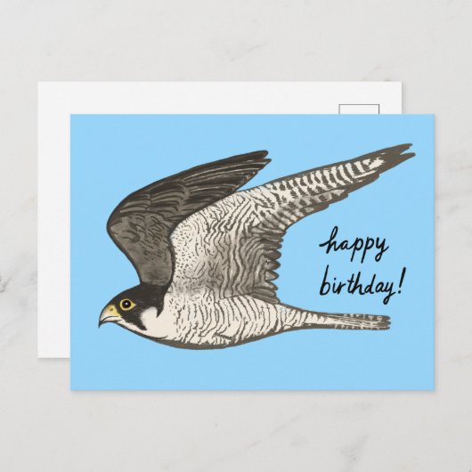 ハヤブサの色鉛筆 誕生日おめでとう ポストカード (正面/裏面)