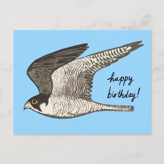 ハヤブサの色鉛筆 HAPPY BIRTHDAY ポストカード (正面)