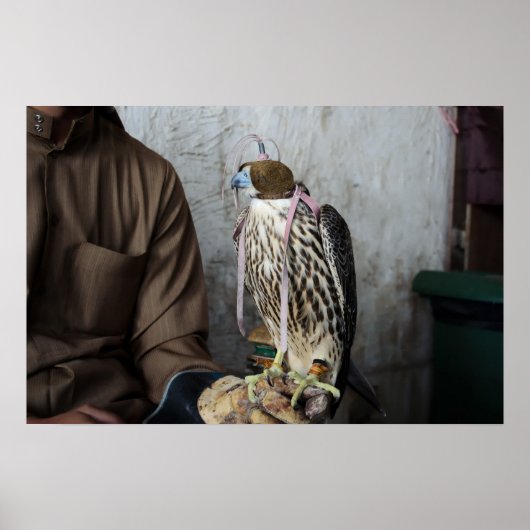ハヤブサの調教 ポスター (正面)