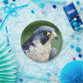 ハヤブサの顔の写真 ペーパープレート (パーティー)