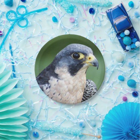 ハヤブサの顔の写真 ペーパープレート (パーティー)