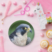 ハヤブサの顔の写真 ペーパープレート (パーティー)